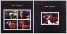 Razze cani puntatore usato  Spedire a Italy