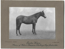Corrida de cavalos, par de fotos 6 x 4" preto/branco, na montagem do fotógrafo, 1934, 2 comprar usado  Enviando para Brazil
