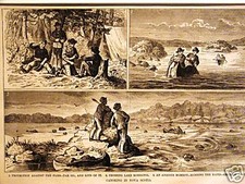 Canoeing nova scotia for sale  Brooklyn