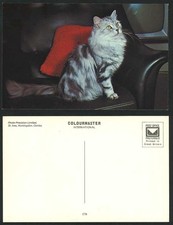 Cat black leather for sale  UK