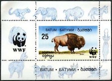 Batum wwf bison for sale  SLEAFORD