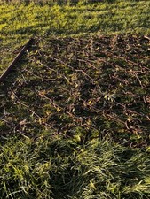 Chain harrows trailed for sale  CHELTENHAM