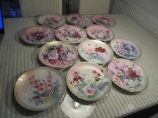 Symphony simmering beauty for sale  KIDDERMINSTER