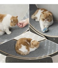 Cat exercise wheel for sale Cat exercise wheel for sale  Adrian