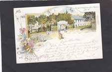 Litho gruß schildhorn gebraucht kaufen  Ostfildern