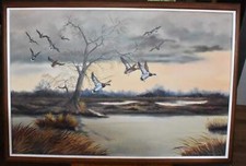 Edgar nucum flock for sale  Bremerton