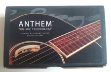 L.r. baggs anthem usato  Ancona