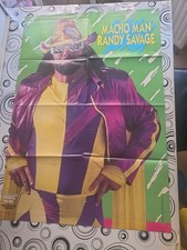 Wrestling poster wwf gebraucht kaufen  Weinsberg
