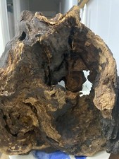 Burl wood tree for sale  Belleville
