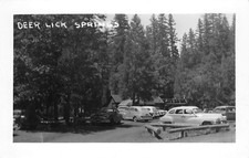 Rppc deer lick for sale  Foresthill
