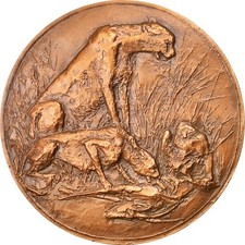 Médaille animaux guépard d'occasion  Lille-