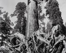 Vtg ansel adams for sale  Woodstock