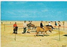 Quend plage pins d'occasion  Berlaimont