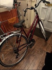 Raleigh pioneer inch for sale  BIRKENHEAD