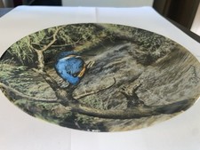 Royal worcester alert for sale  STONEHOUSE