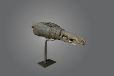 Fétiche crocodile d'occasion  Montauban