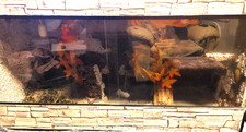 Terrarium 120x60x60 holz gebraucht kaufen  Berlin