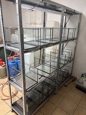 Aquarium cube wasserbecken gebraucht kaufen  Giesen