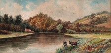 Cows next river for sale  SALISBURY