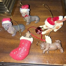 Lot dachshund dog for sale  Walsenburg