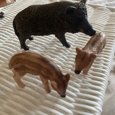 Schleich wildlife boar for sale  WATERLOOVILLE