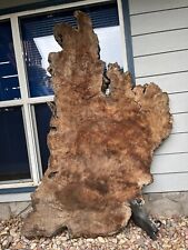 Redwood burl slab for sale  Tualatin