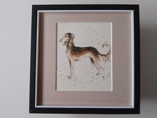 Hannah dale dog for sale Hannah dale dog for sale  YORK