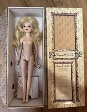 ellowyne wilde dolls for sale  Nashua
