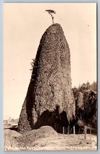 Rppc needle rock for sale  Portland