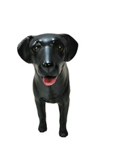 Sylvac black labrador for sale  LIVINGSTON