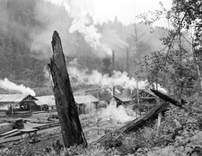 1936 sawmill near for sale  Fitchburg