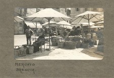 Bella originale animata usato  Milano