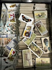 Birds animals cig for sale  Zanesfield