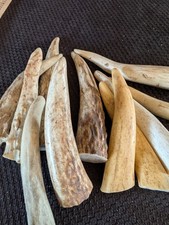 Pack antler crafting for sale  Middlebury