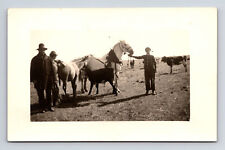 Rppc several ranchers for sale  High Ridge