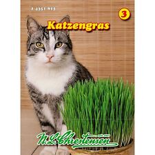 Katzengras saatgut chrestensen gebraucht kaufen  Laatzen