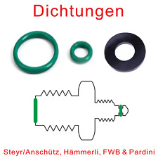 Dichtungen steyr anschütz gebraucht kaufen  Heitersheim