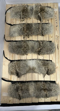 Canada goose coyote for sale  UK