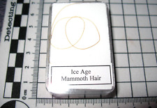mammoth tusk for sale mammoth tusk for sale WAKEFIELD