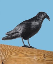 Pigeon scarer crow for sale  DRIFFIELD