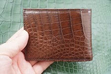 Brown real alligator for sale  USA