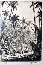Tropical wood ceylon for sale  Eau Claire