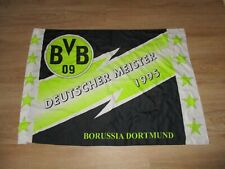 Borussia dortmund fan gebraucht kaufen  Bad Staffelstein