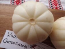 Kiku crisantemo miele usato  Spedire a Italy