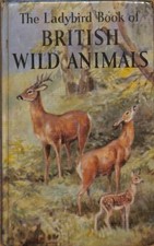 British wild animals for sale  ROSSENDALE