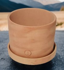 Urban jungle terracotta for sale  Webster