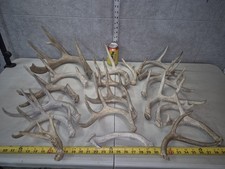 Bulk lot 9.2lb for sale  Valley City
