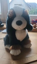 Berner sennenhund hund gebraucht kaufen Berner sennenhund hund gebraucht kaufen  Marburg