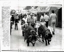 1974 press photo d'occasion  Expédié en Belgium
