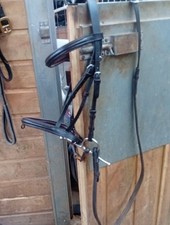 Brown leather pony for sale  SOUTH MOLTON